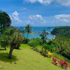 Sea Cliff Eco-cottages & Gin Distillery Hébergement de vacances Calibishie